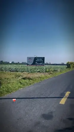 mẫu 1 ảnh 