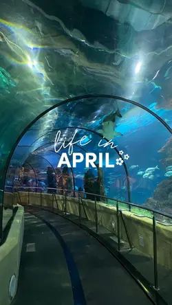 life in April