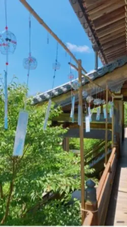 夏の思い出