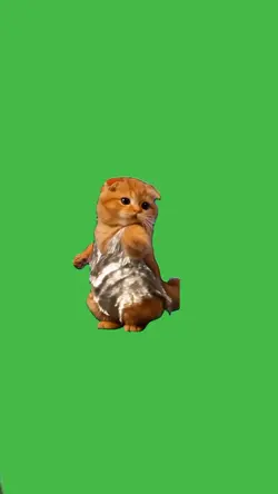 Cat in dress dancing