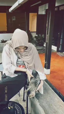 aesthetic 