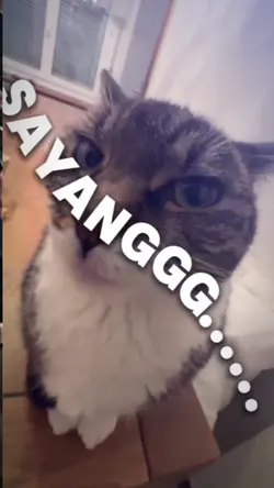 trend jj kaget viral