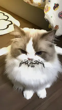 memimisu