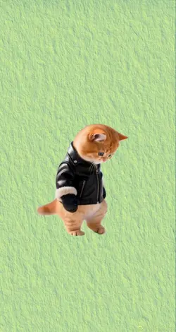 cat boy cute