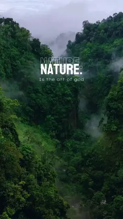 Minivlog Nature.