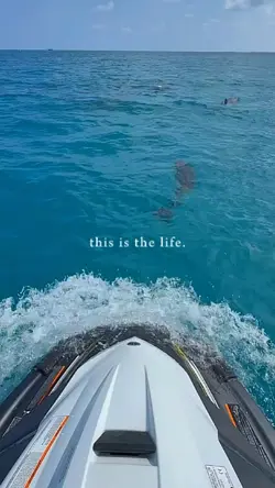 This is the life