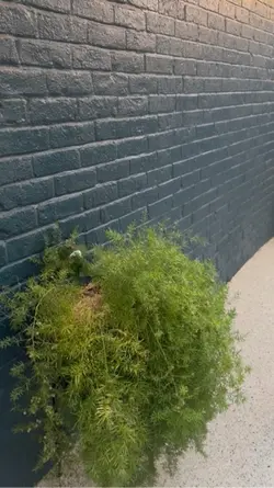 Gardening 