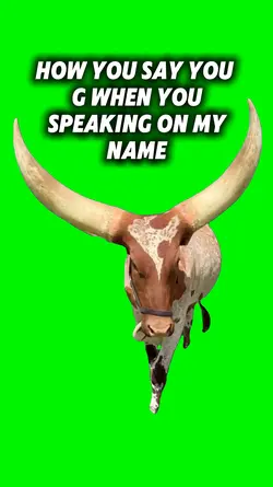 Funny Cow