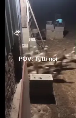 Iscrivetevi 😂