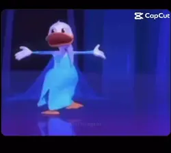 Canard des neiges 😂