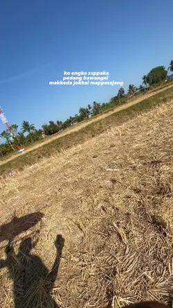 pedang bawangni