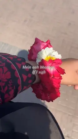 Ishq
