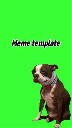 Dog crying