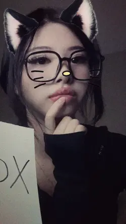 cat sticker 