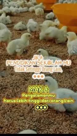 Motivasi Diri