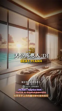 天公疼憨人 DJ