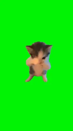 template kicu kicau