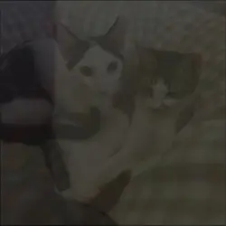 그림자 손댄스