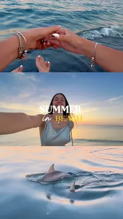 New trend template 