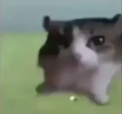 Vid cho c bn nào cần