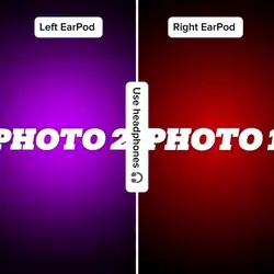 The Trend Edit
