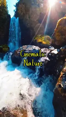 Cinematic Nature