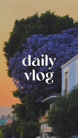 daily vlog
