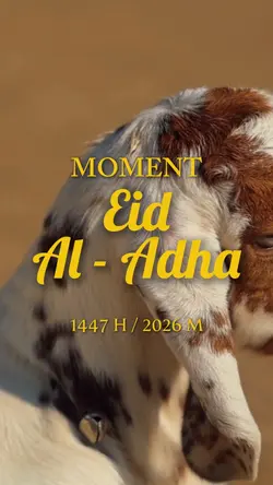 Eid Al adha vlog