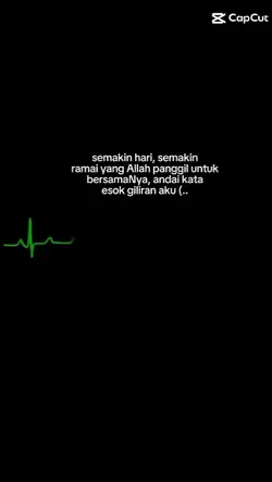 aira_amira