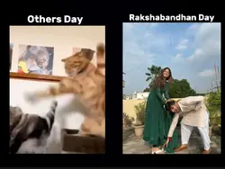 happy rakshabandhan.