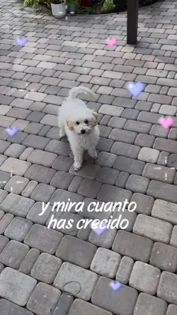 Cerré los ojos un...