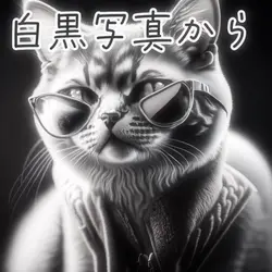 白黒からカラー画像に