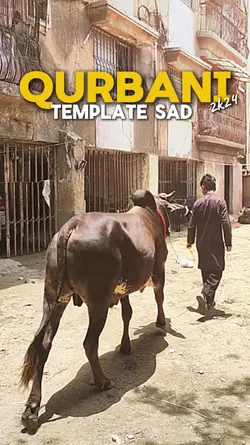 Sad Qurbani Template