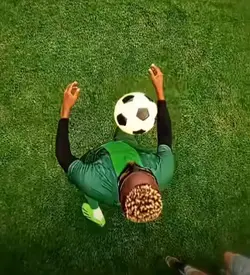 Koy beni