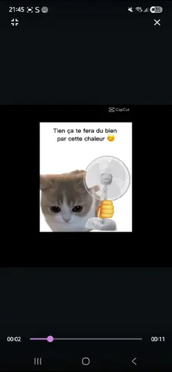 Canicule 