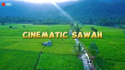 cinematic sawah