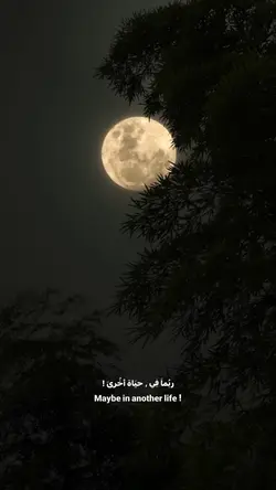 Moon lines