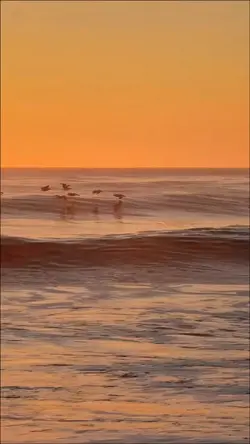 Speedramp beach