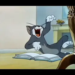zueira com Tom