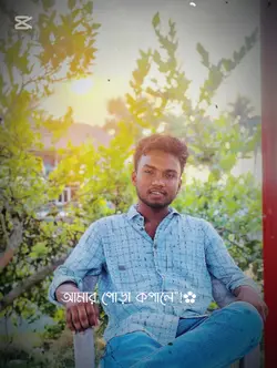 tar pati hay 
