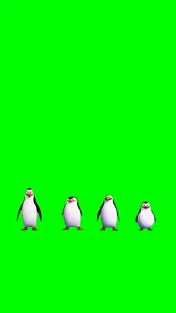 Penguins Dancing