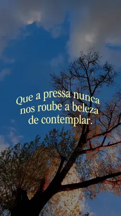 A beleza 