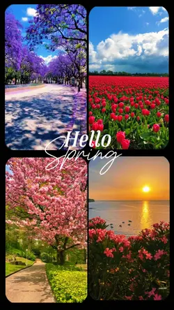 Hello Spring