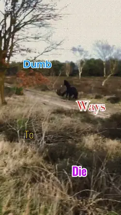 Dumb ways to die😅