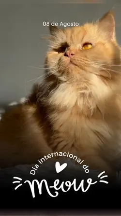 Meow