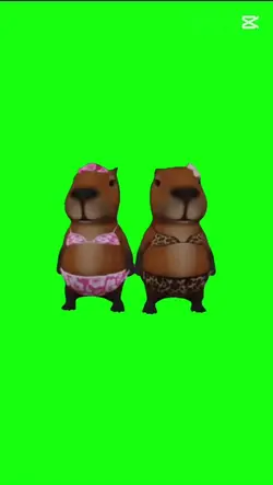 capybara fancam