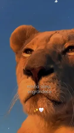 engrandece ao senhor