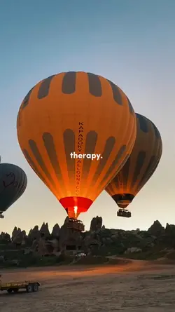 Therapy
