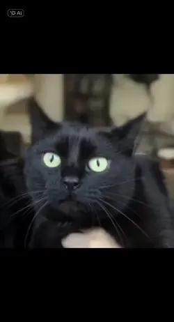Lüge, Lüge, Lüge! 
