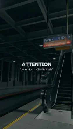 Attention
